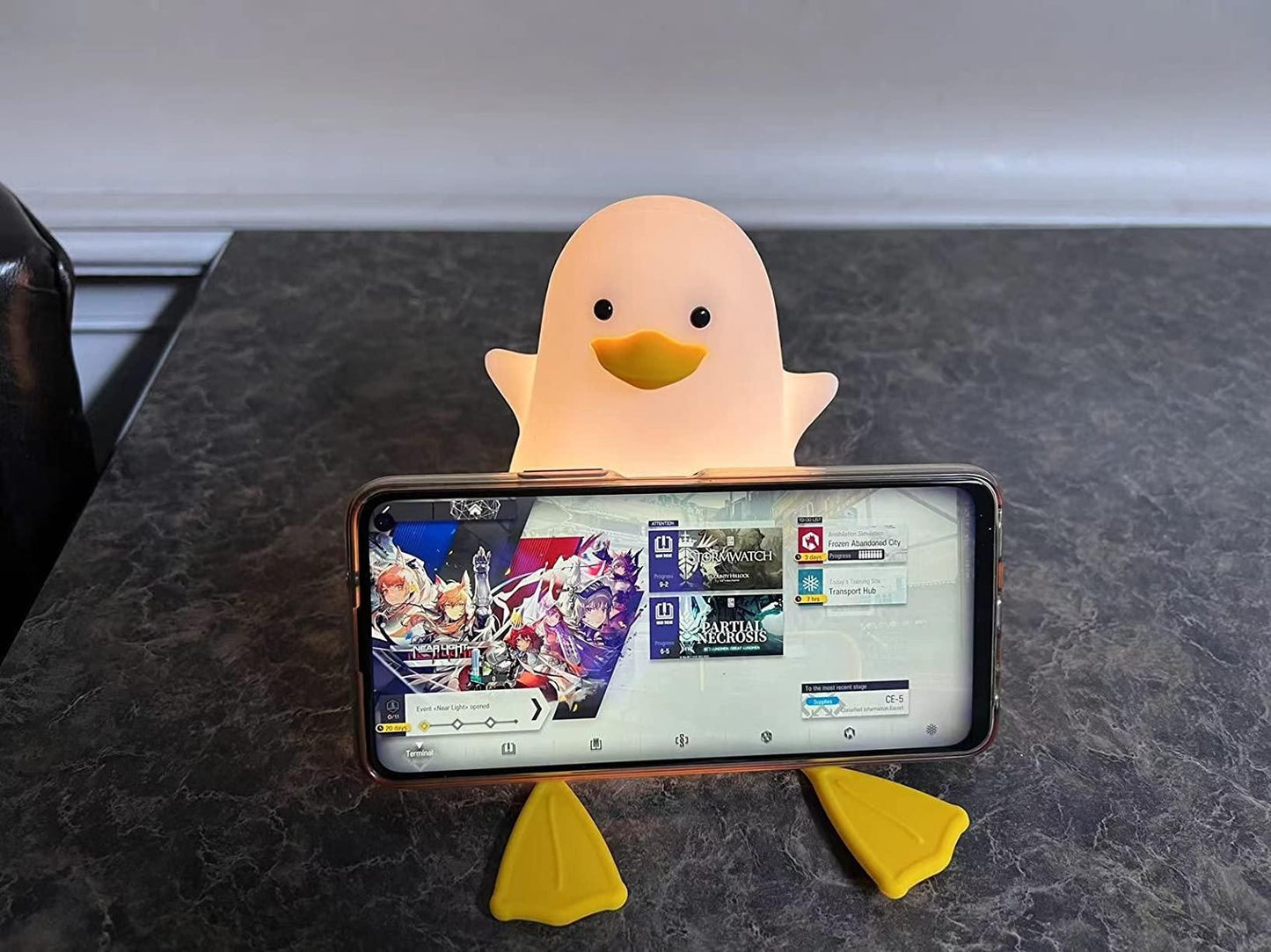 Japanese Duck Night Light  Lamp