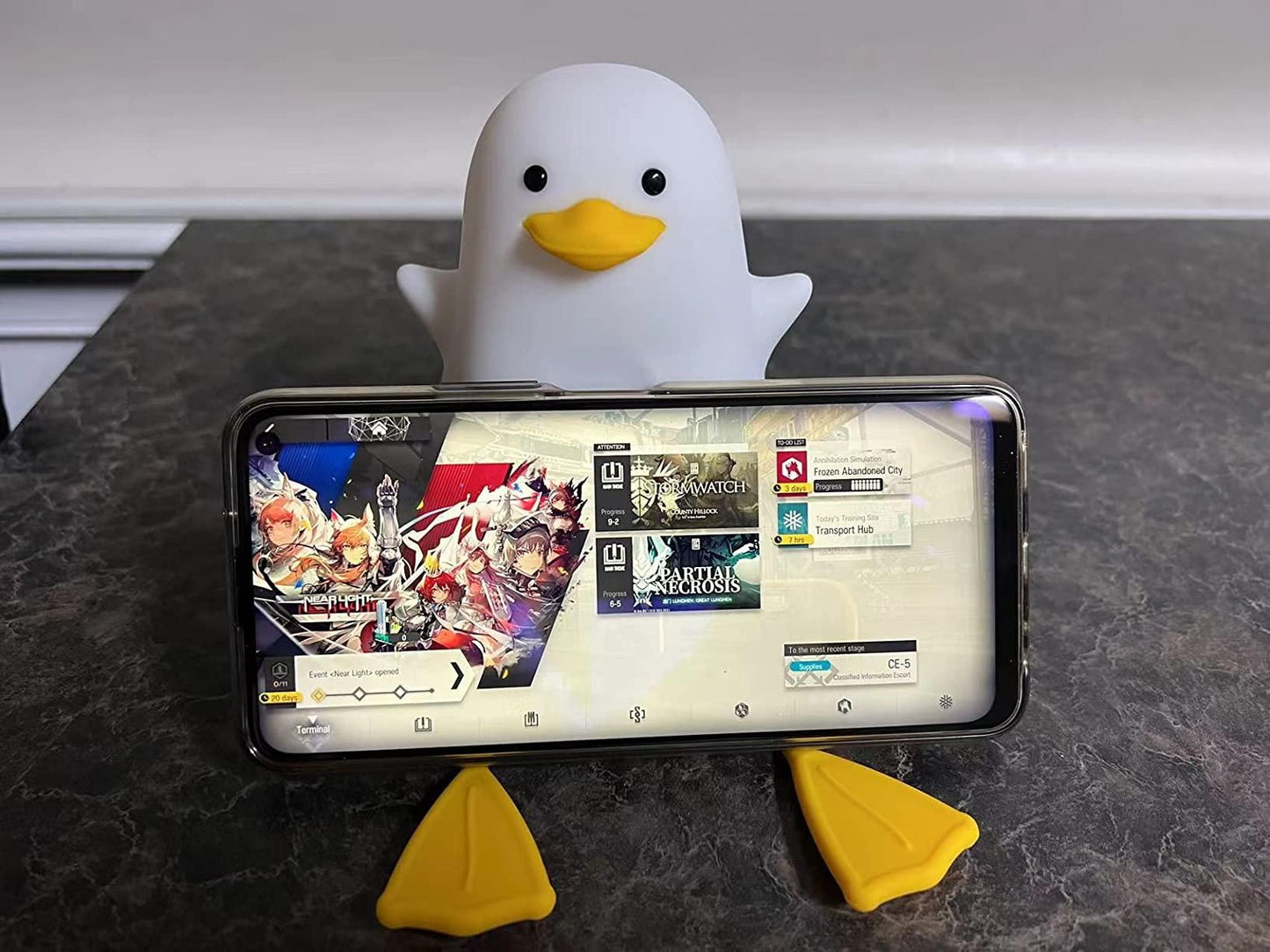 Japanese Duck Night Light  Lamp